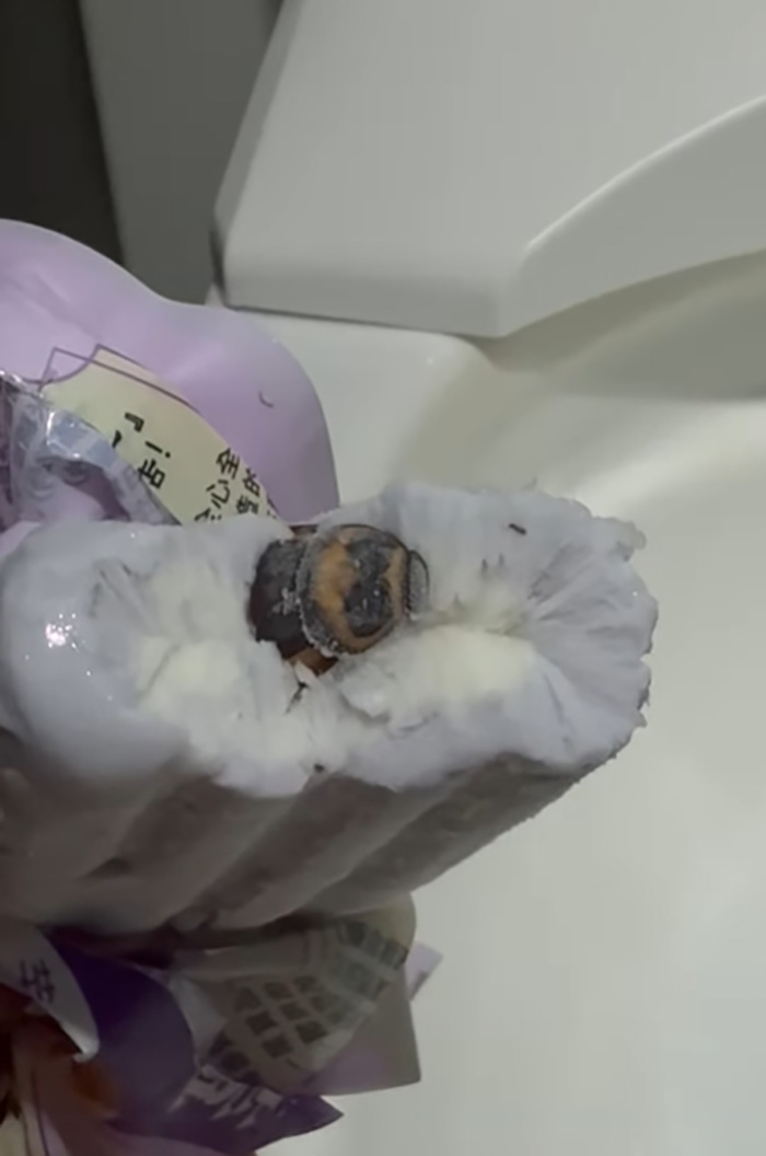 คู่รักกินไอศกรีมเผือก