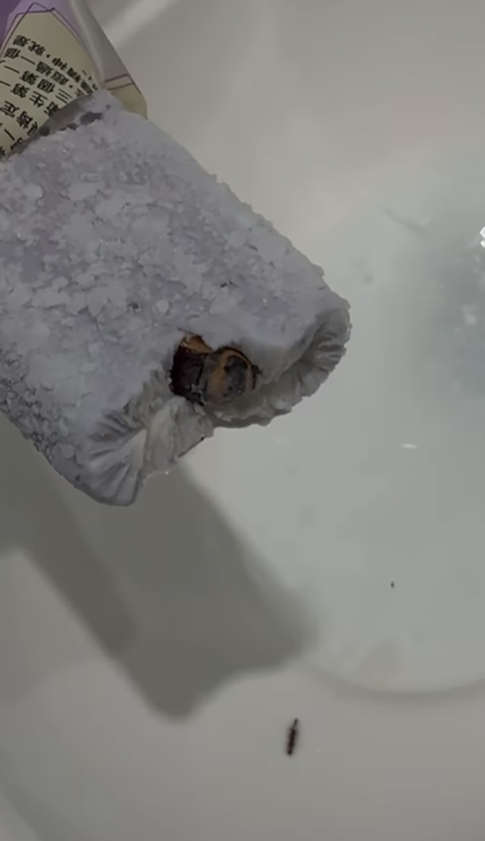 คู่รักกินไอศกรีมเผือก