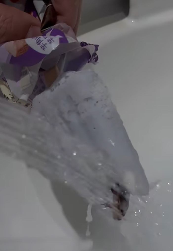 คู่รักกินไอศกรีมเผือก