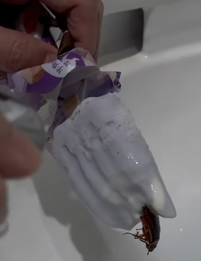 คู่รักกินไอศกรีมเผือก