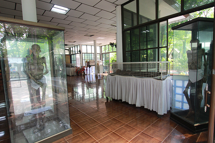 สธ ลงพื้นที่ วัดพระบาทน้ำพุ พบกว่า 20 ร่าง ถูกดองโชว์