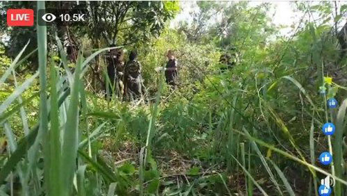 ฆ่าสาวไซดไลน์