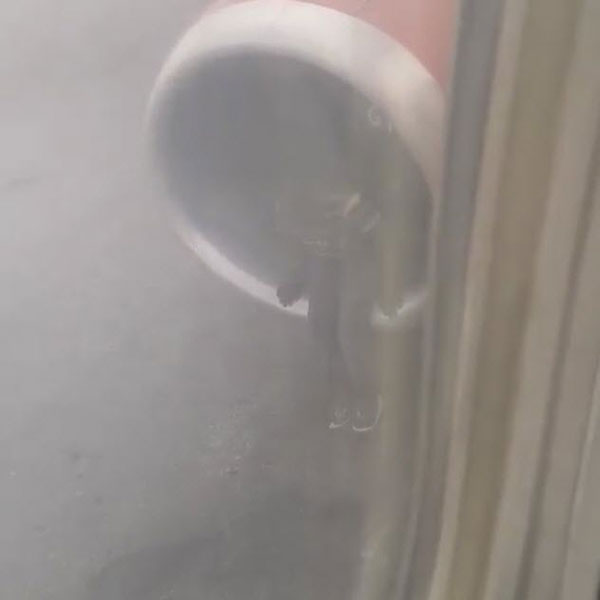 หนุ่มพิเรนทร์หนัก