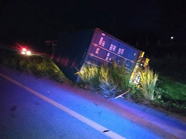 ลูกช้างป่า