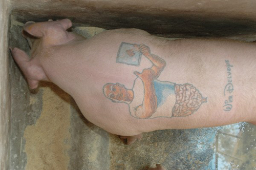  ศิลปะสุดโต่ง ศิลปินเบลเยียมสักลายบนตัวหมู ก่อนถลกหนังขายเป็นของสะสม 