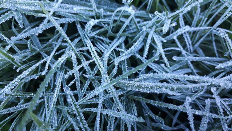 เหมยขาบ 