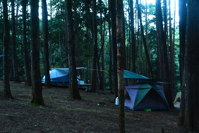 เหมยขาบ 