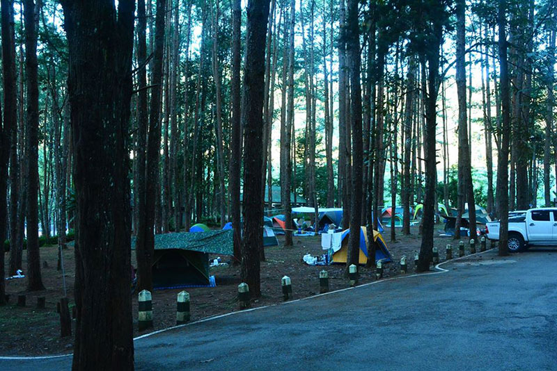 เหมยขาบ 