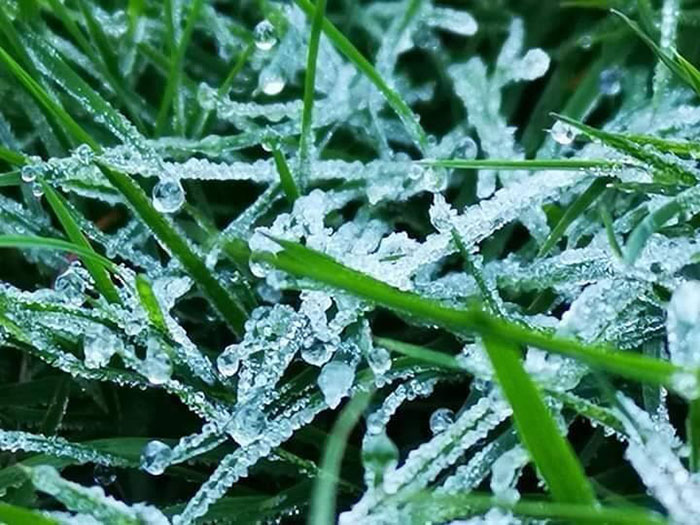 เหมยขาบ 