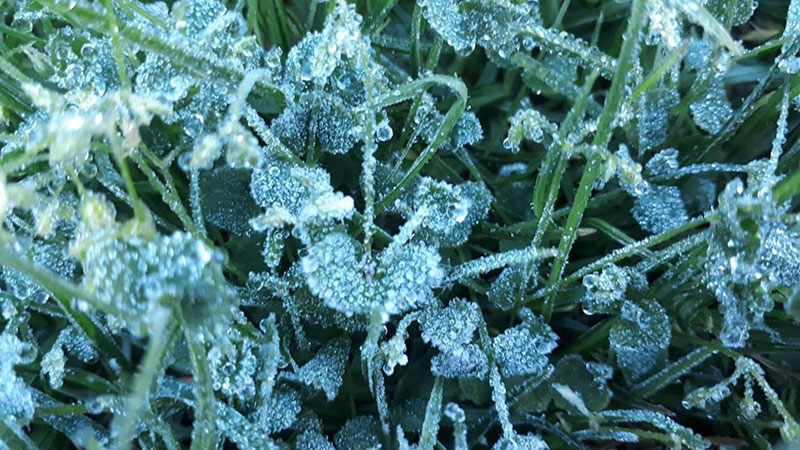 เหมยขาบ 