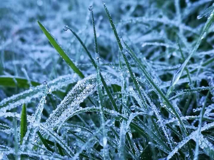 เหมยขาบ 