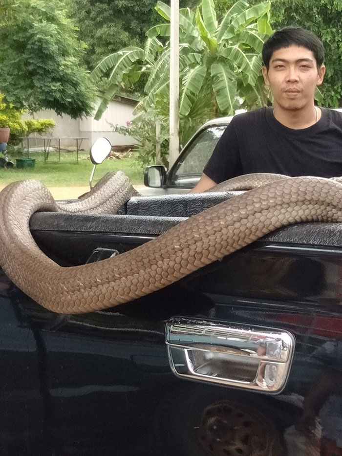 น้องจั่นเจา