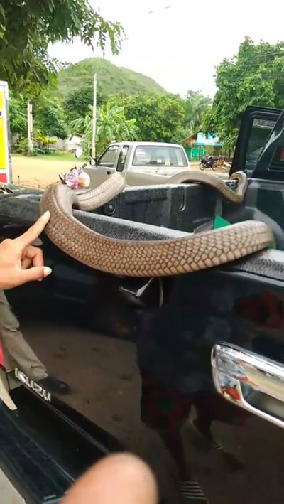 น้องจั่นเจา