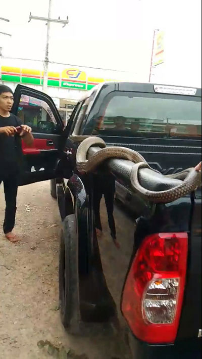 น้องจั่นเจา