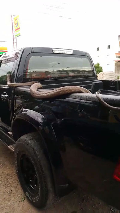 น้องจั่นเจา