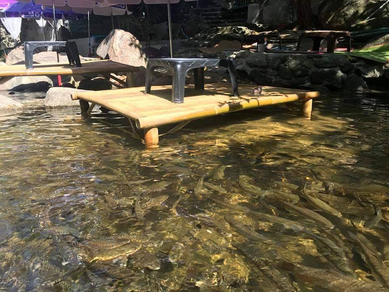 เทคอนกรีตลง น้ำตกท่าแพ