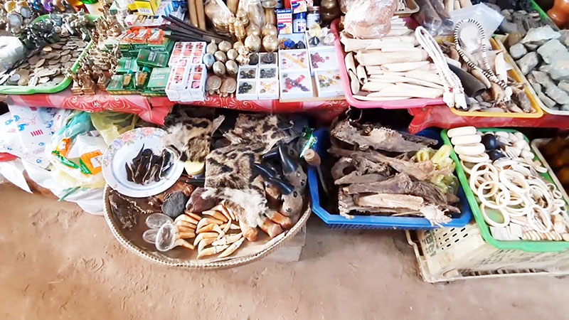 แจงโพสต์กิน นกเงือก - ลิง 