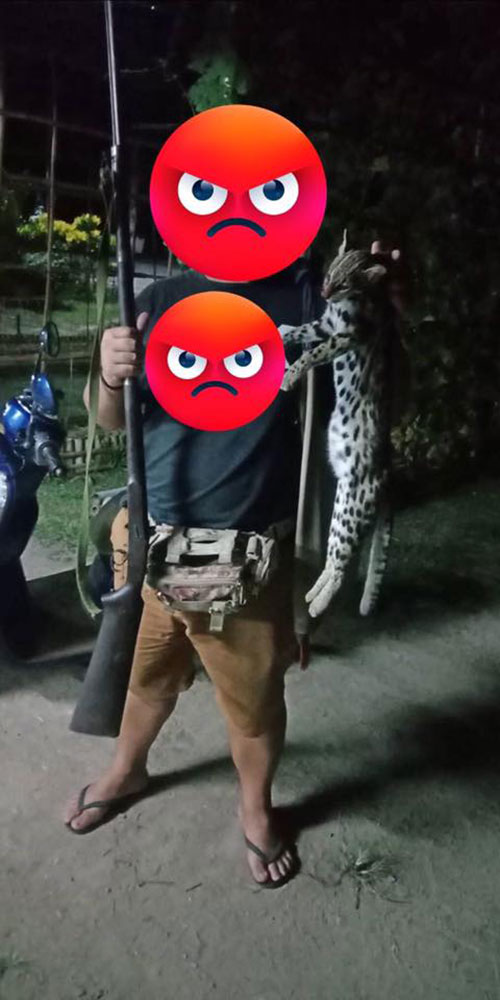 ทหารฆ่าแมวดาวท้อง 