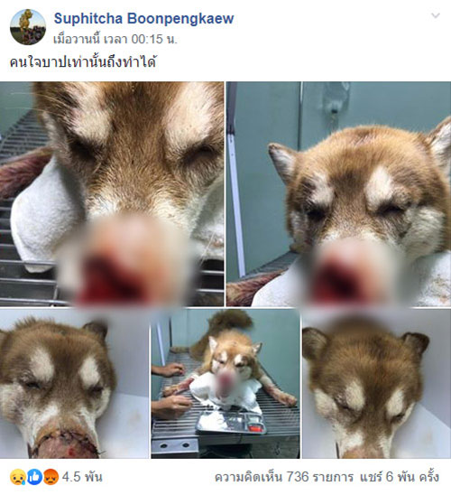 คนใจเหี้ยม