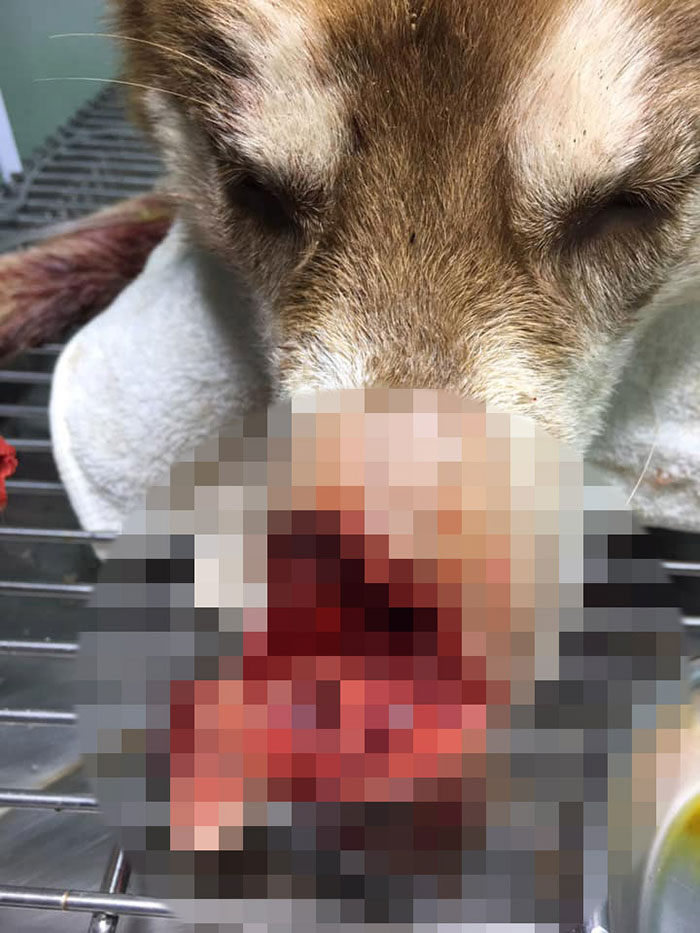 คนใจเหี้ยม