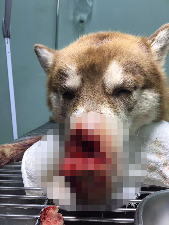 คนใจเหี้ยม