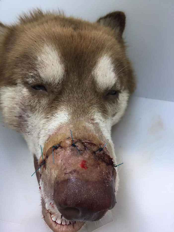 คนใจเหี้ยม