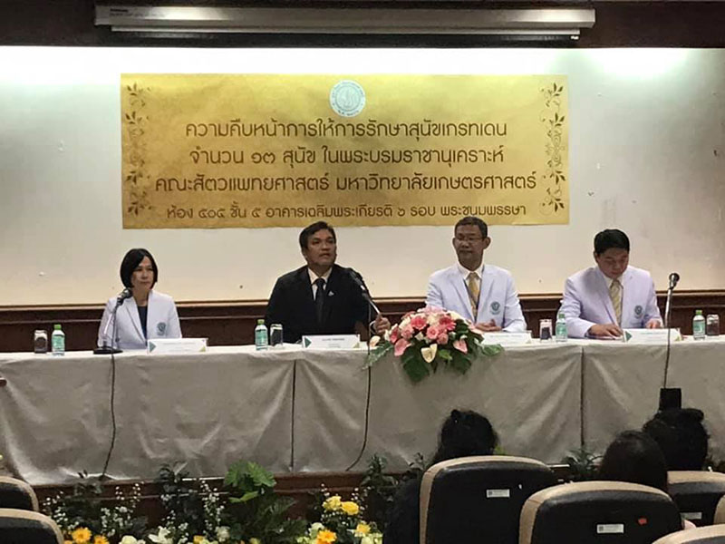 สุนัขเกรทเดน 13 ตัว