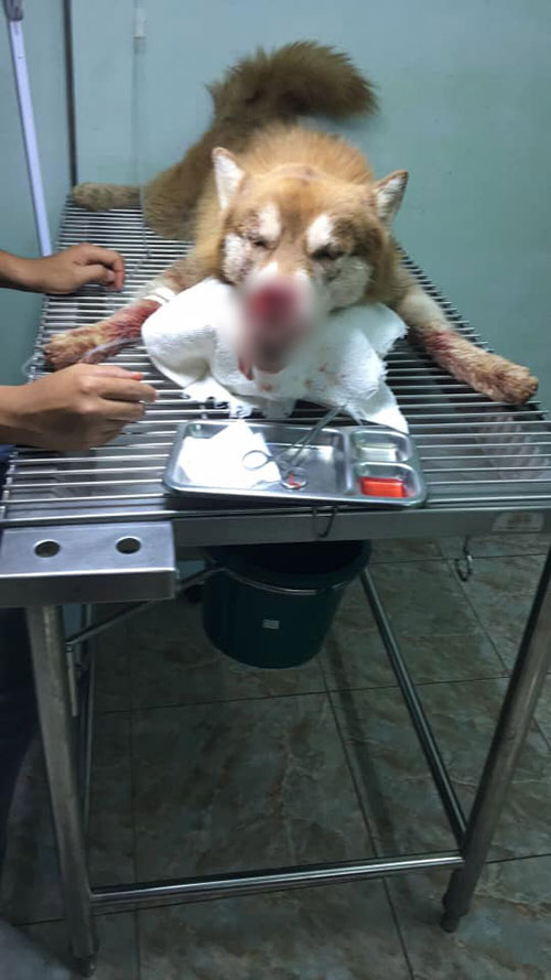 คนใจเหี้ยม