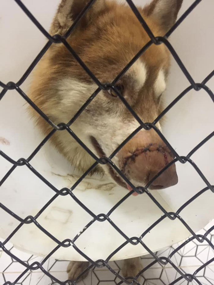 คนใจเหี้ยม