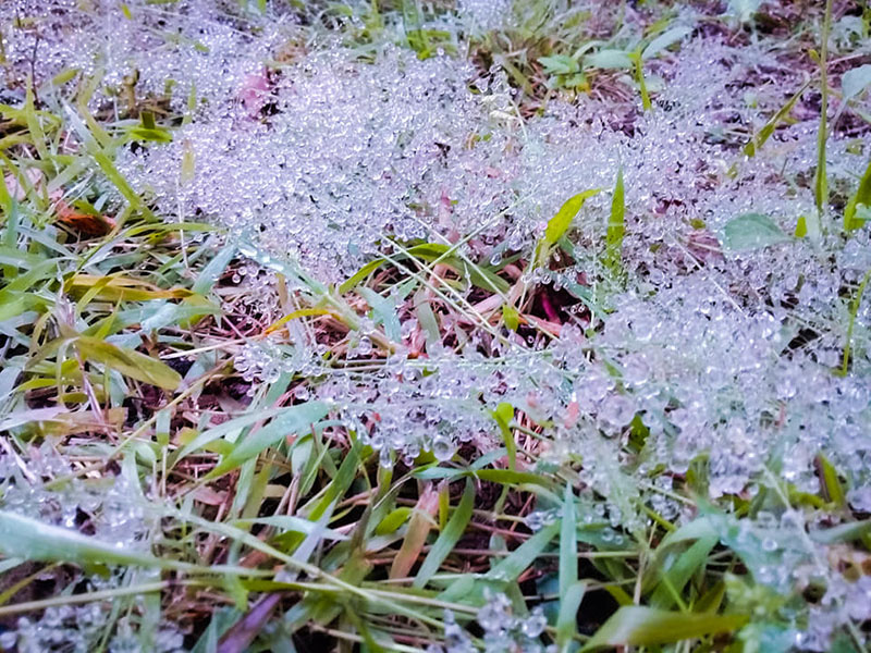 อีสานหนาวมาก