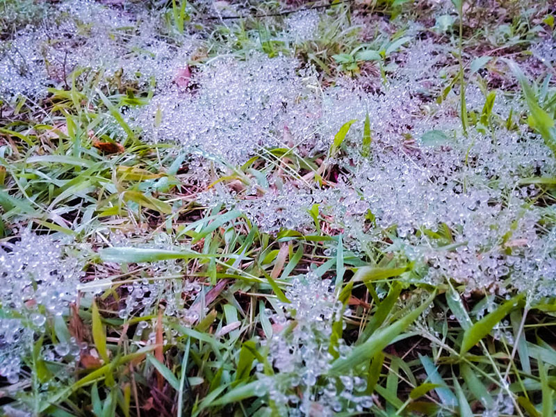 อีสานหนาวมาก