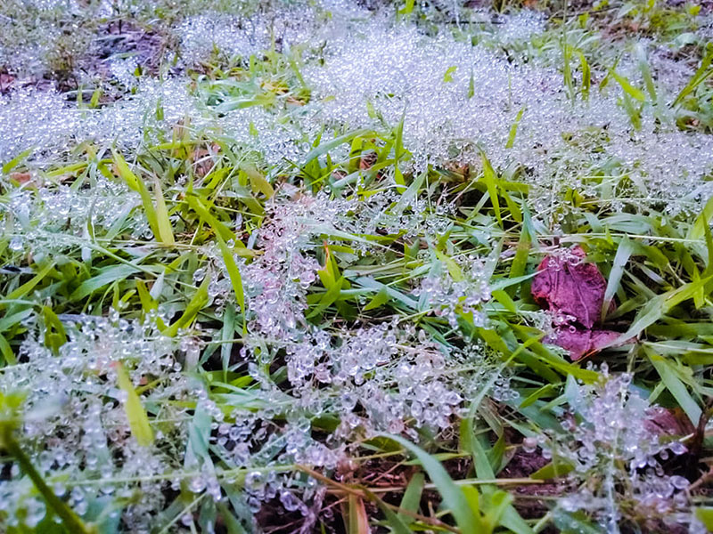 อีสานหนาวมาก