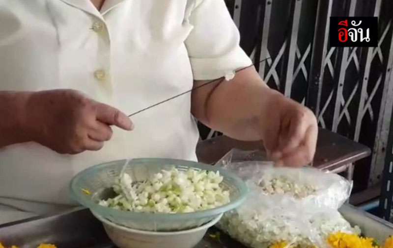 แม่ ดร.เป็ด