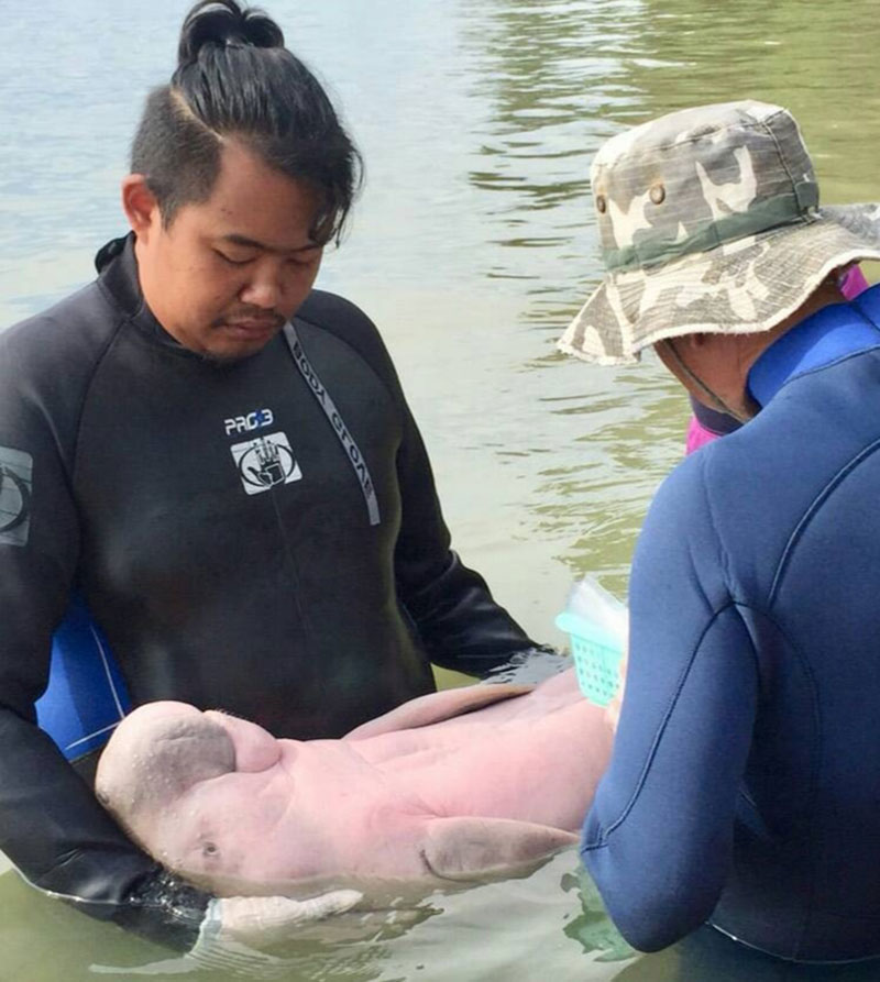 น้องมาเรียม