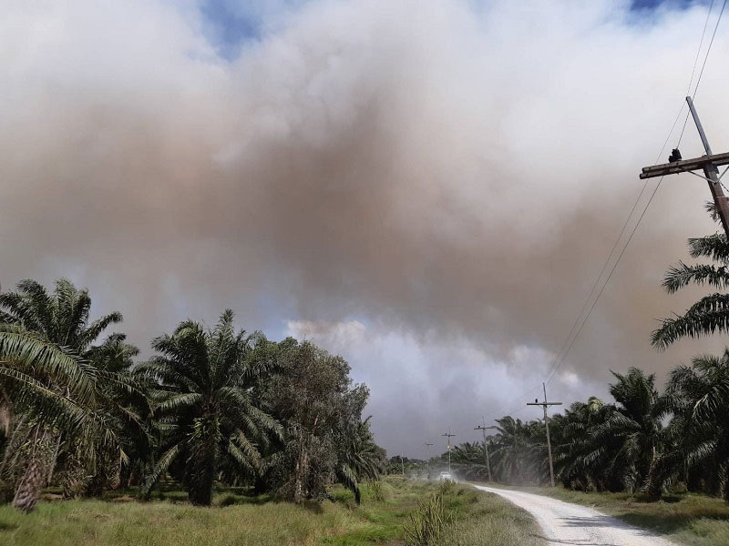 ไฟป่าพรุควนเคร็ง