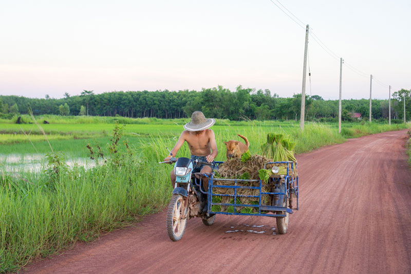 ทิม พิธา 
