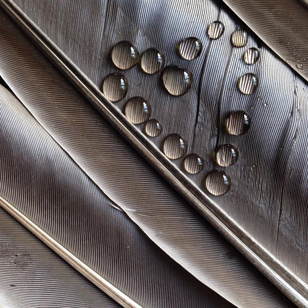 งานศิลปะ