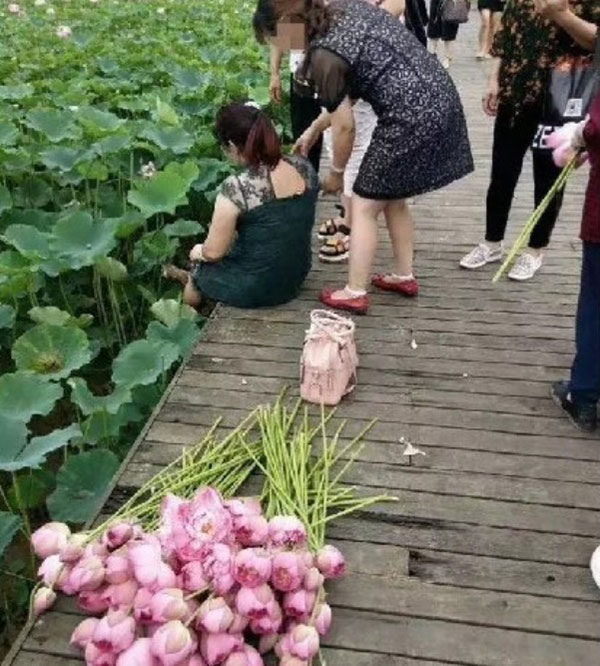 สวนเชิงนิเวศจีน