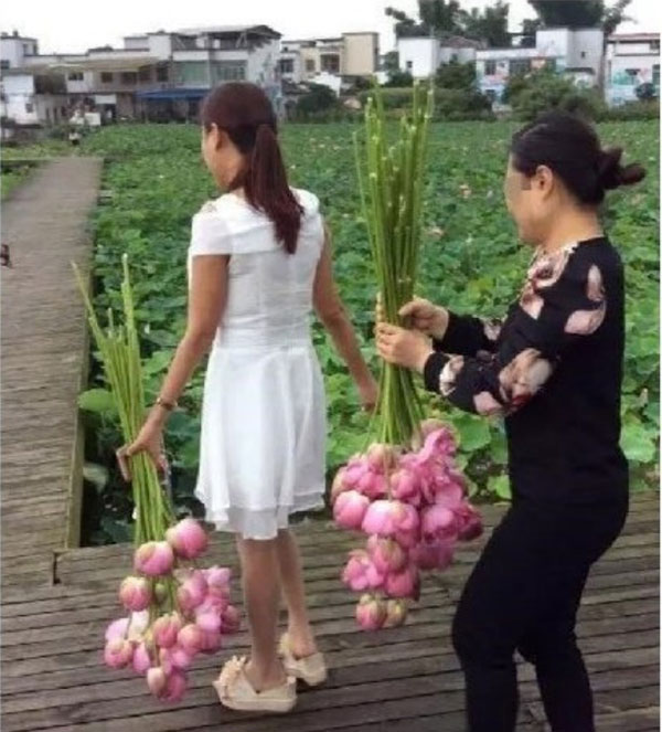 สวนเชิงนิเวศจีน