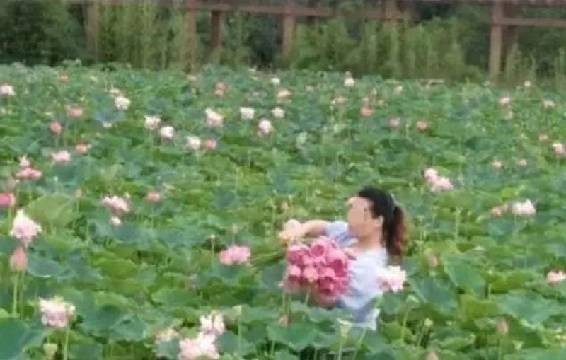 สวนเชิงนิเวศจีน