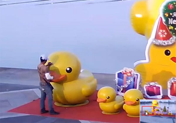 ชายมือบอน