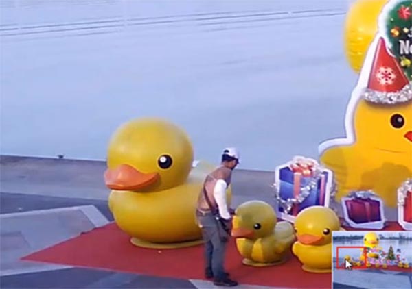 ชายมือบอน