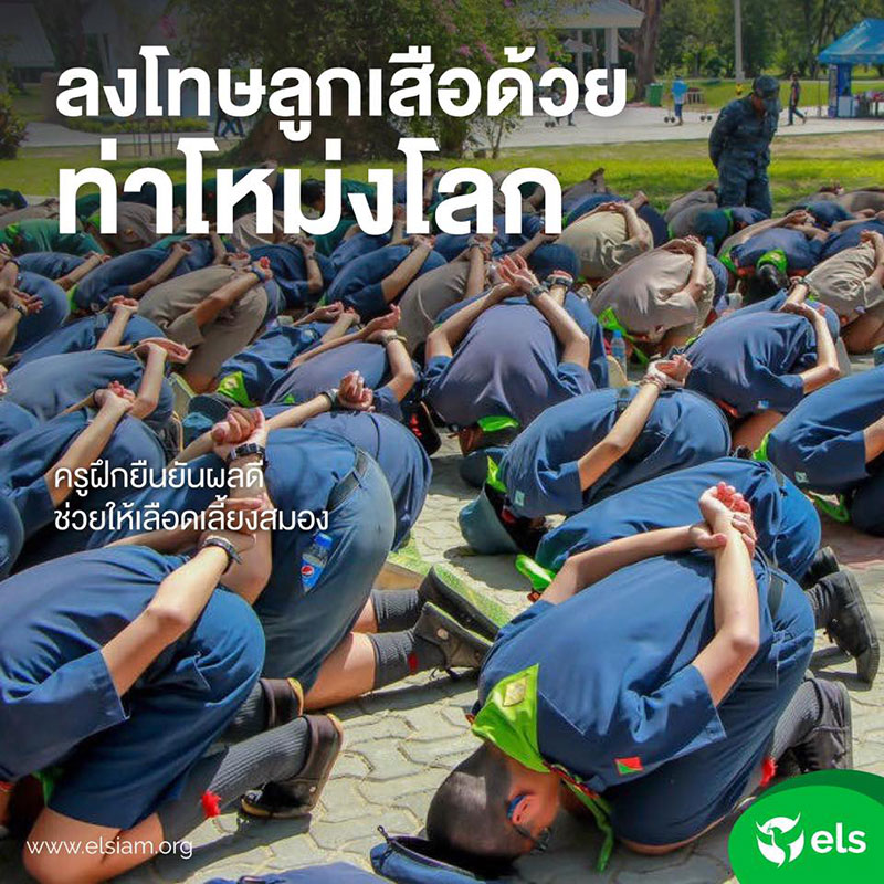 ลูกเสือเนตรนารี 