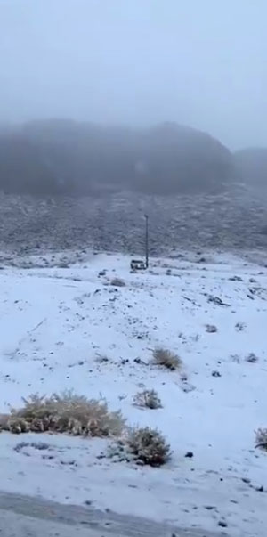 หิมะตกกลางทะเลทรายซาอุฯ