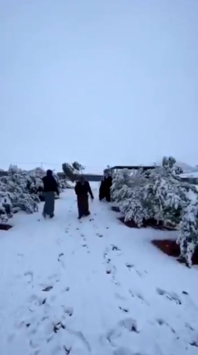 หิมะตกกลางทะเลทรายซาอุฯ