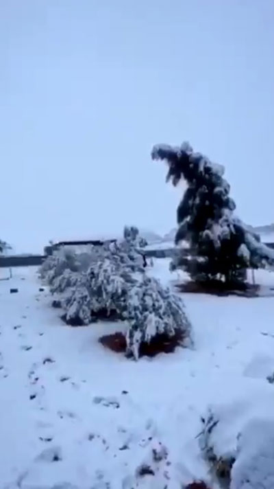 หิมะตกกลางทะเลทรายซาอุฯ