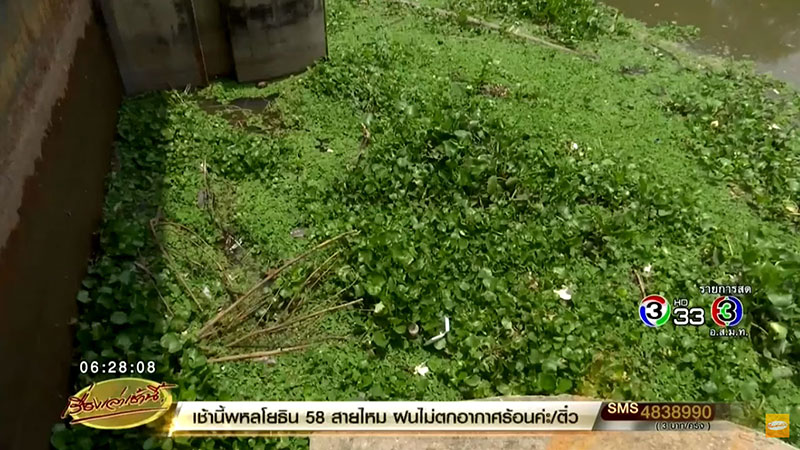 บิ๊กตู่