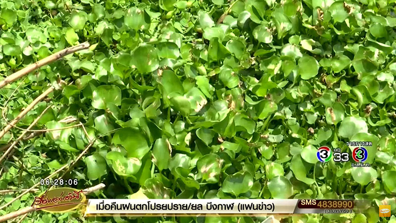 บิ๊กตู่