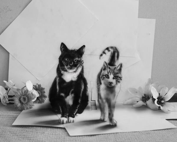 ภาพวาด 3 มิติสุดล้ำ 