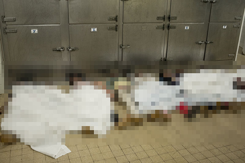 ฉลองวันชาติ